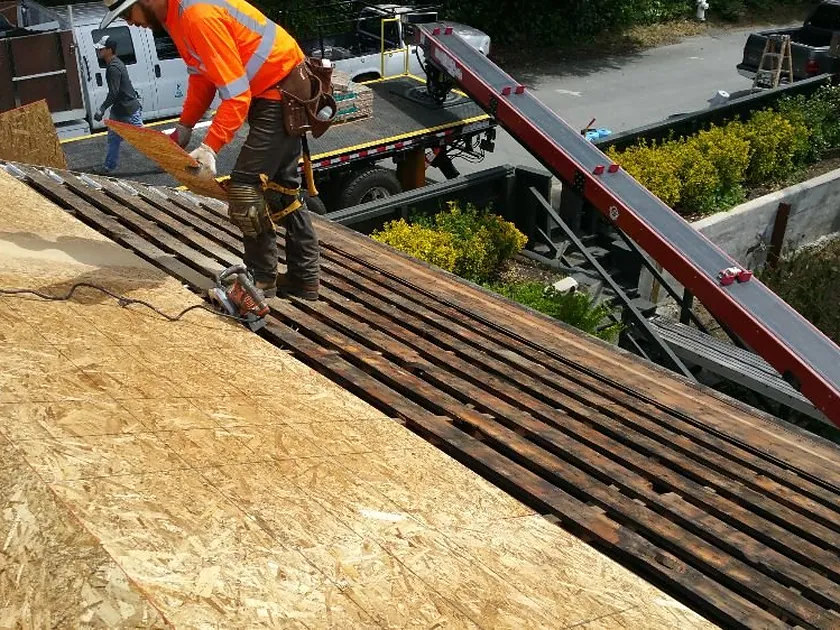 New plywood roof decking fastened over the framing